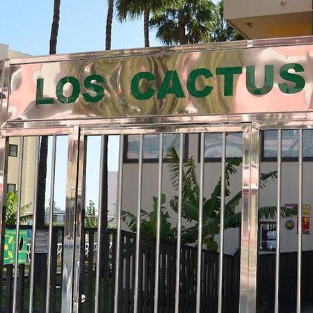 פלאייה דל אינגלז Los Cactus מראה חיצוני תמונה