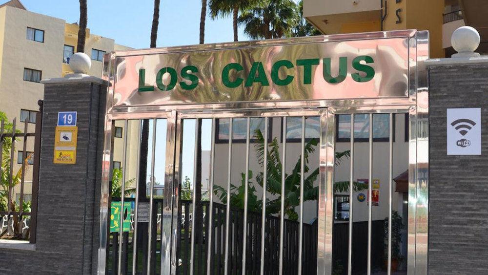 פלאייה דל אינגלז Los Cactus מראה חיצוני תמונה